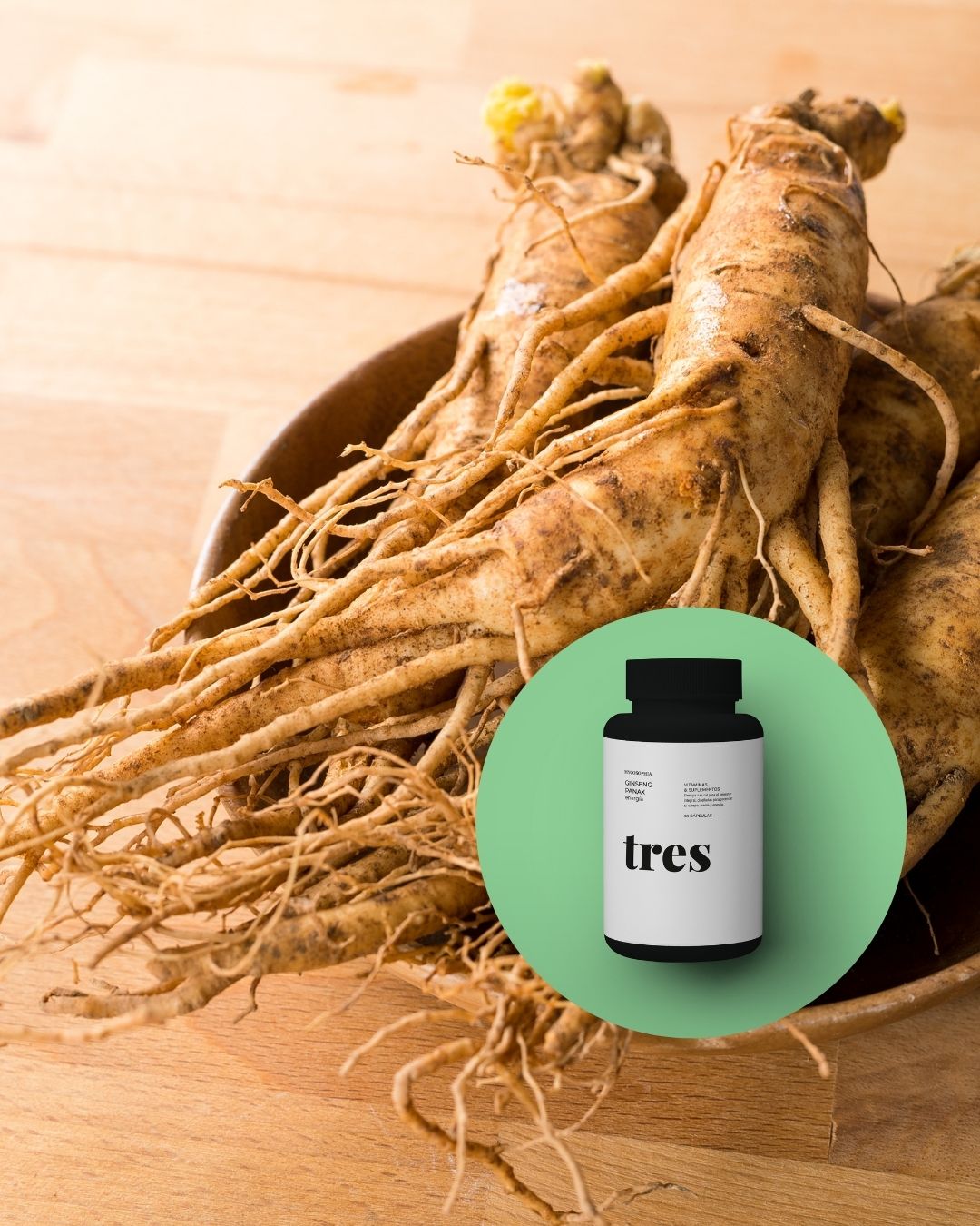 Raíz de Ginseng Panax (Panax ginseng), utilizada para aumentar la energía, mejorar la memoria y fortalecer el sistema inmunológico.